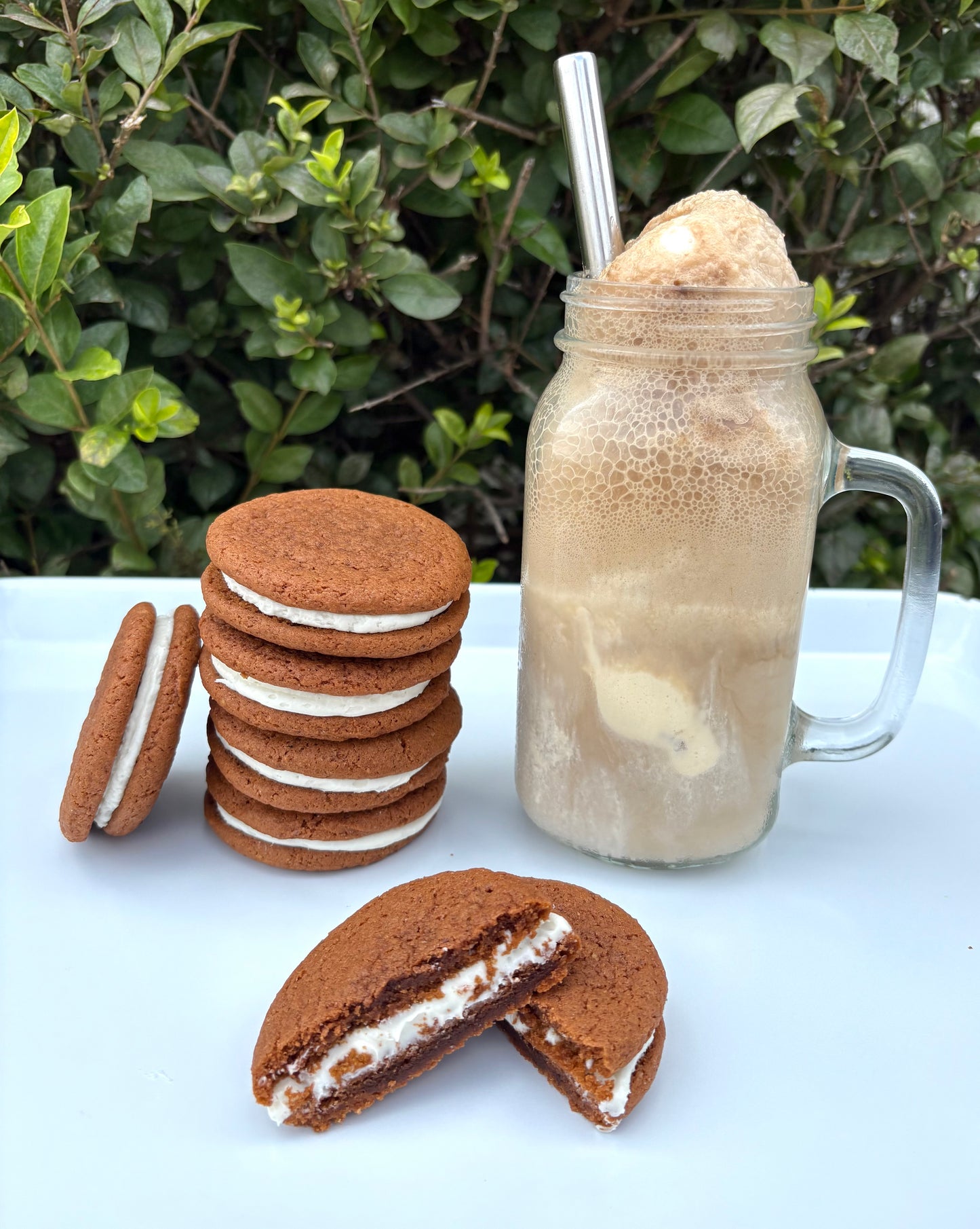 Root Beer Float 🍨 Lactation Treat 4pk