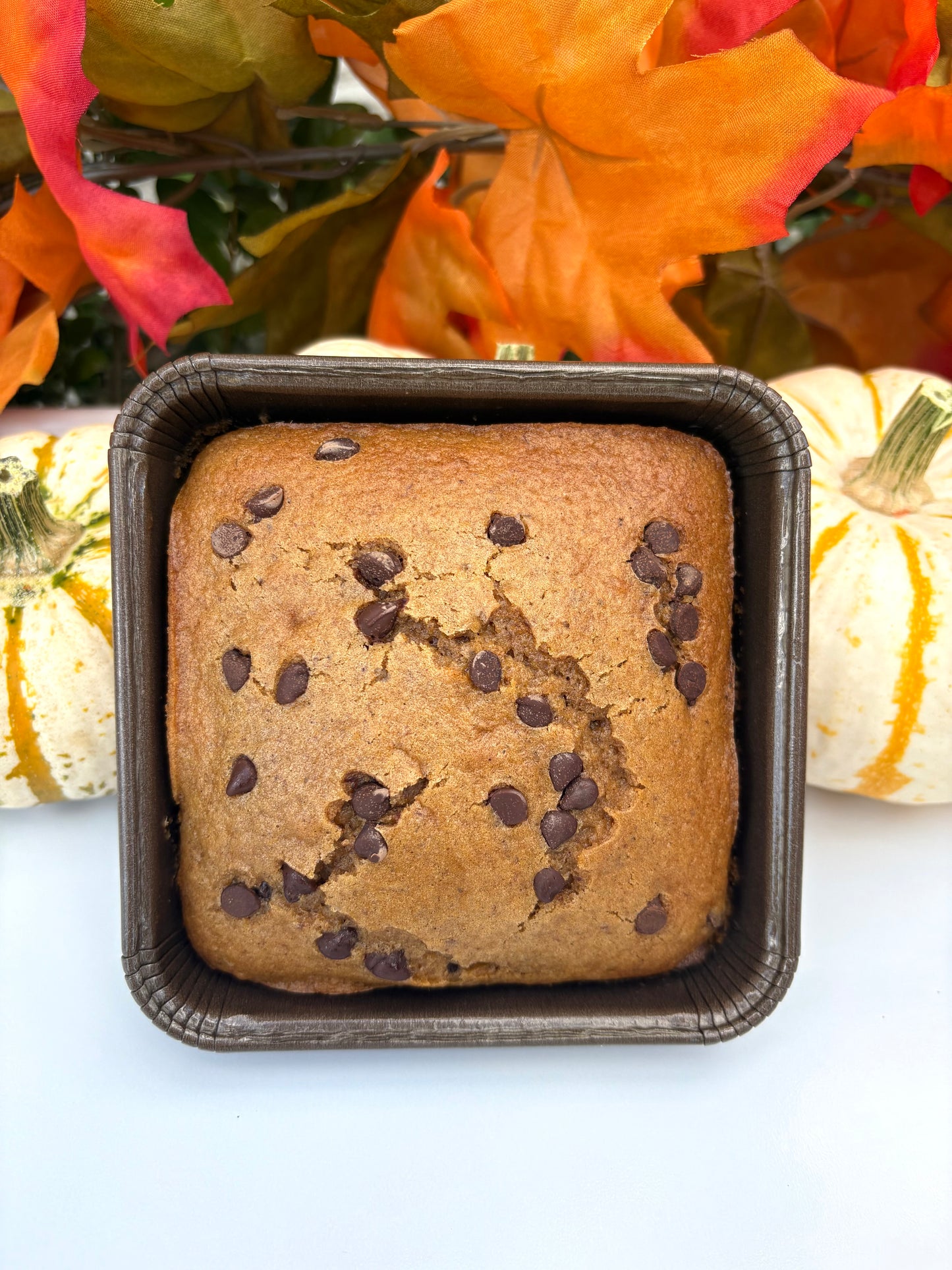 Pumpkin Chocolate Chip - Lactation Treat