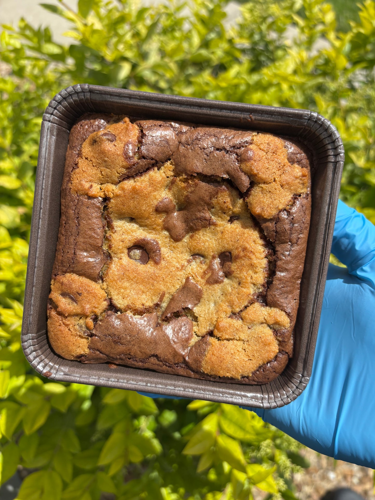 Brookie - Lactation Treat