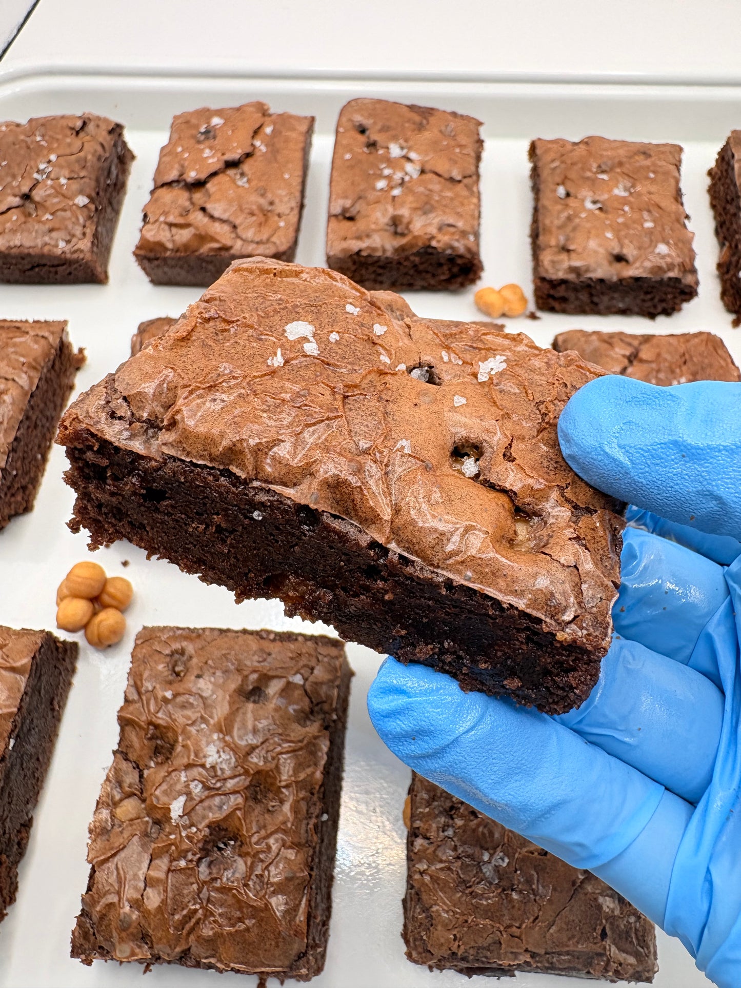 Salted Caramel Brownie - Lactation Brownies 6pk