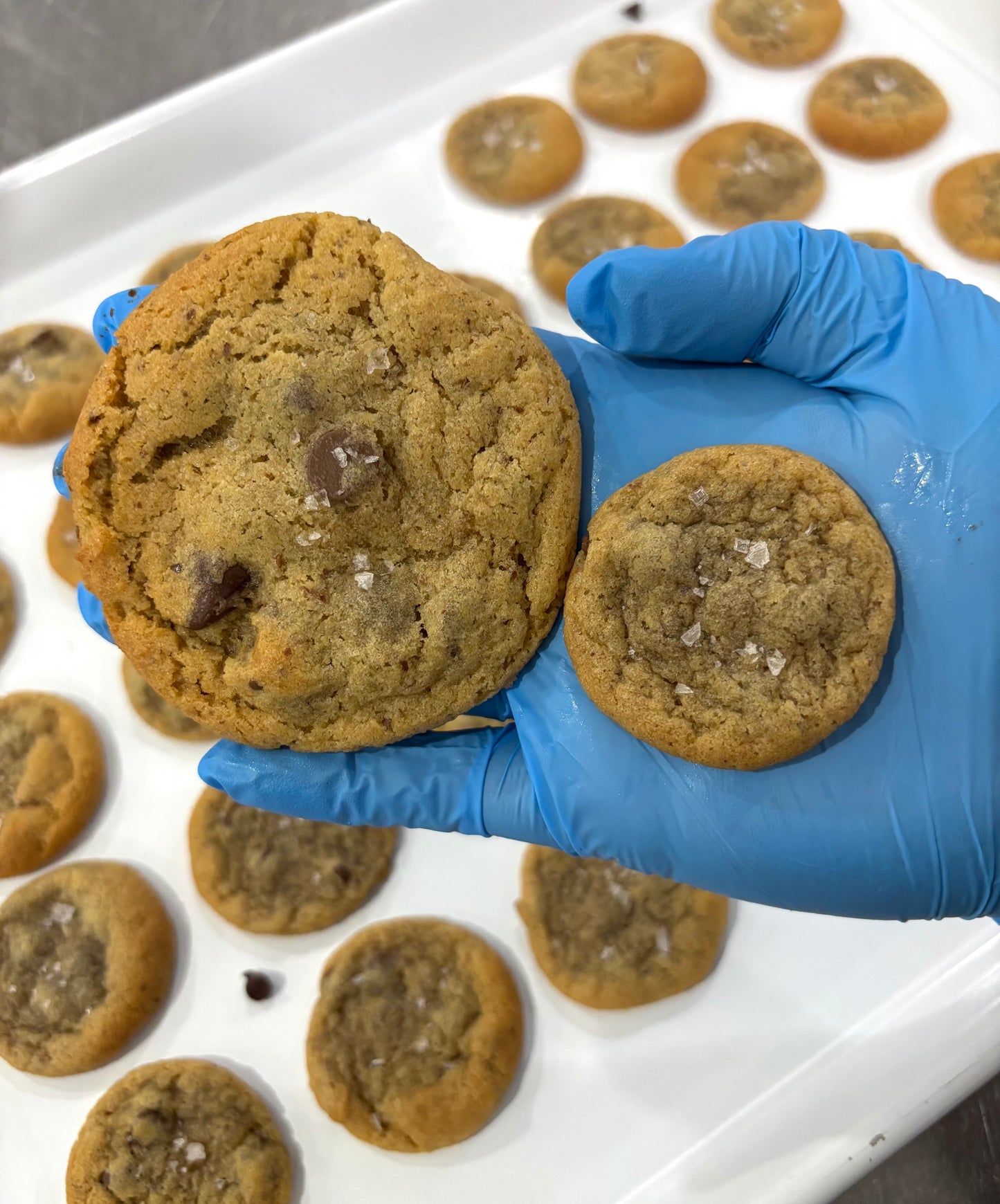 Chocolate Chip - Mini Lactation Cookies