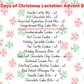 12 Days of Christmas - Lactation Advent Box