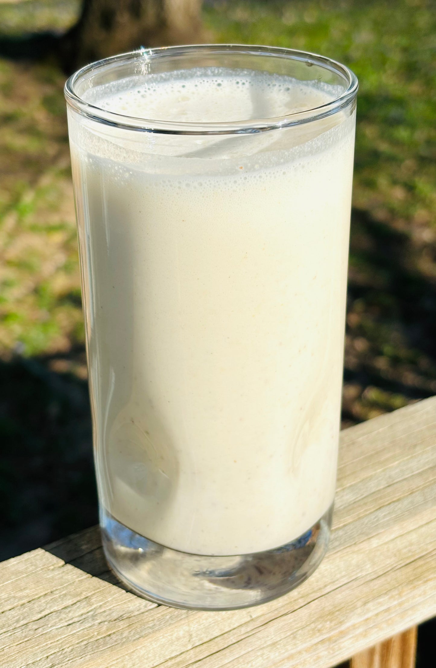Protein Shake Mix - Lactation Drink