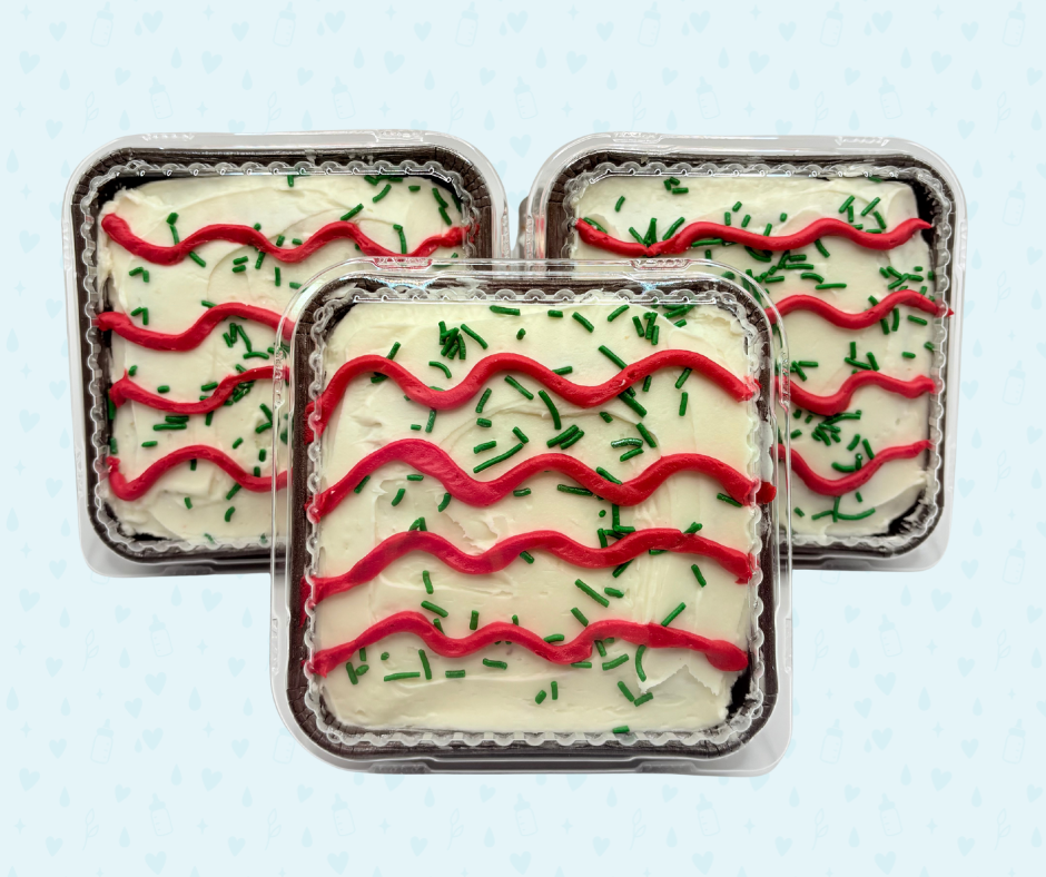 Christmas Cake - Lactation Treat