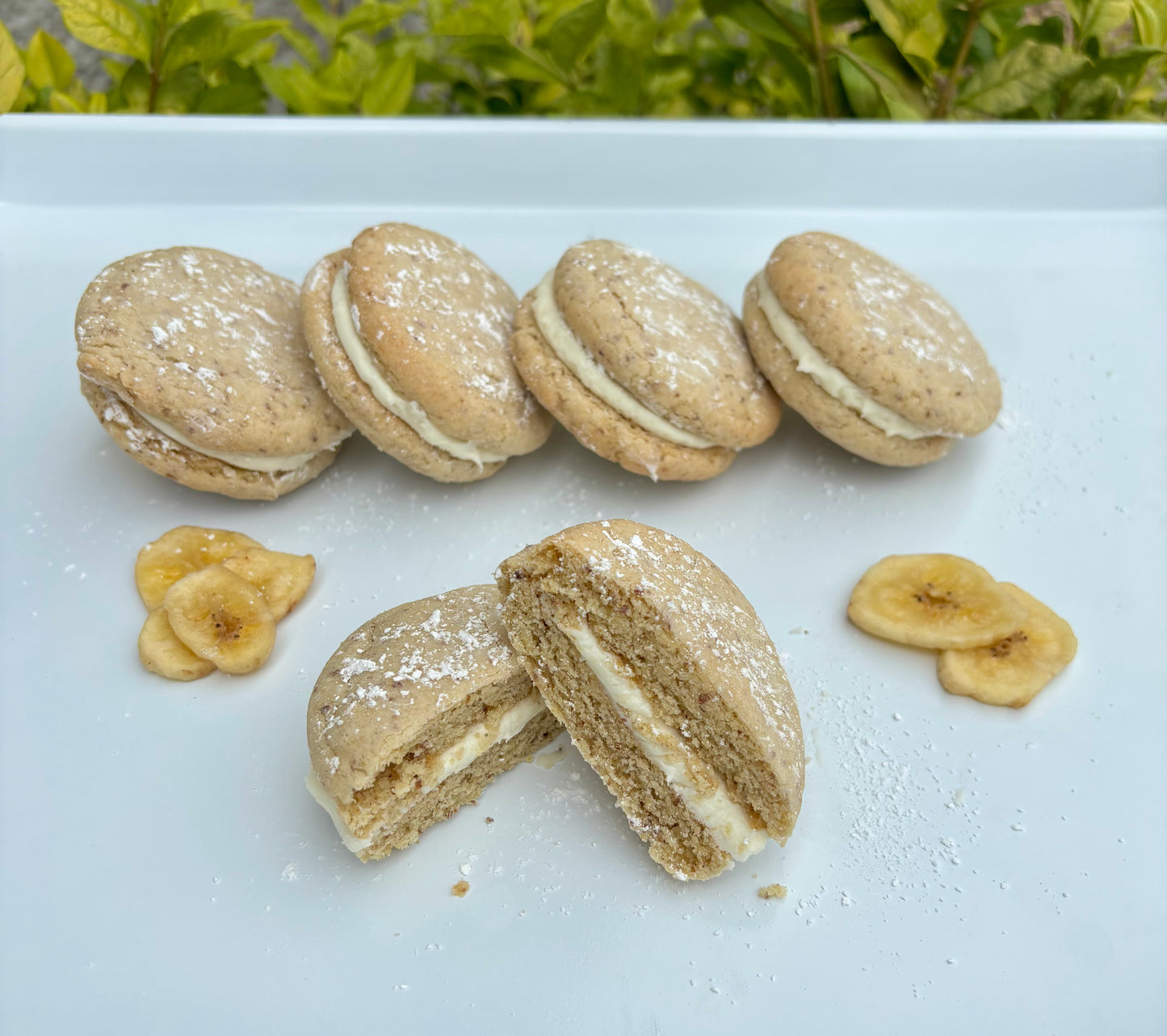 Banana Cream Pie - Lactation Treat 4pk