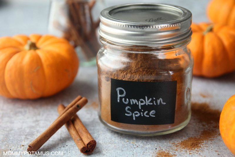 Pumpkin Spice - Lactation Cookies