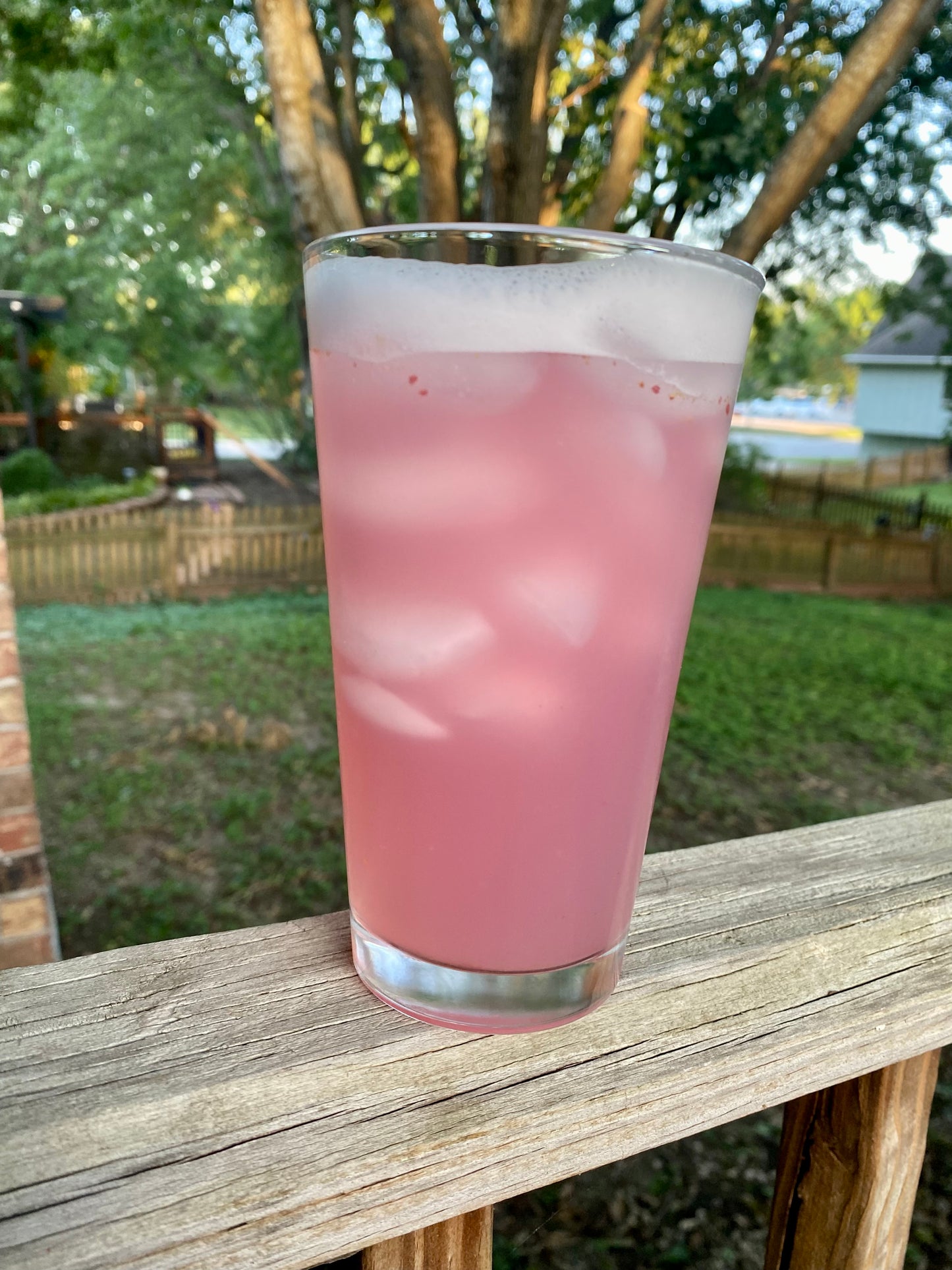 Watermelon Dragon Fruit - Lactation Drink Mix
